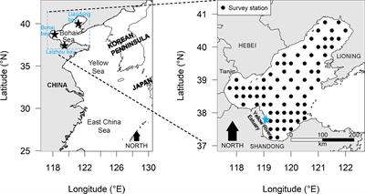 Changes in Distribution Patterns for Larimichthys polyactis in Response to Multiple Pressures in <mark class="highlighted">the Bohai Sea</mark> Over the Past Four Decades
